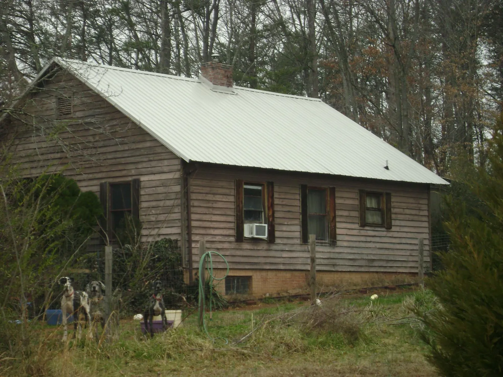 White metal roof on an old wood sided farmhouse, from a Asphalt Shingle Roof Repair job in Ellensburg